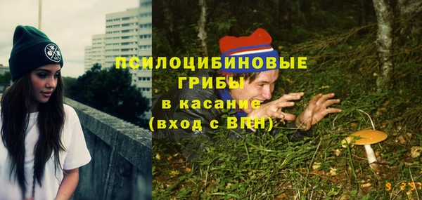 стафф Мегион